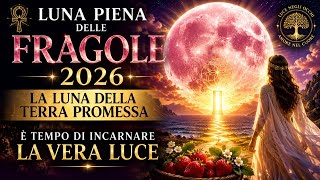 STRAWBERRY FULL MOON 2026 | THE MOON OF THE PROMISED LAND – IT IS TIME TO EMBODY THE TRUE LIGHT