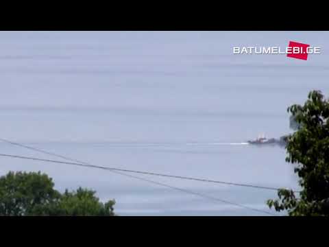 გიგანტური ხე, რომელიც ზღვაზე მიცურავს