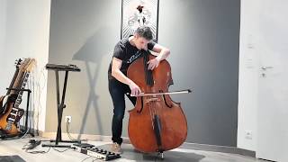 Cranes - Watersong / Jean-Baptiste Salles Double Bass cover