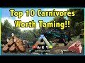 THESE 10 CARNIVORES ARE DEFINITELY WORTH TAMING IN ARK!! || TOP 10 CARNIVORES WORTH TAMING!