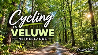 Why Is This Forest So Beautiful? | Cycling in Veluwe After the Rain, Netherlands screenshot 5