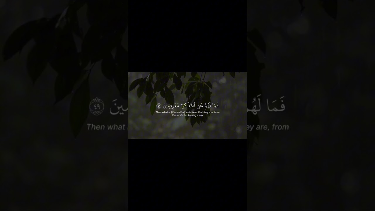 أكتب شيء تؤجر عليه 🖤#قران #quran #قرآن #ياسر_الدوسري #جمعة