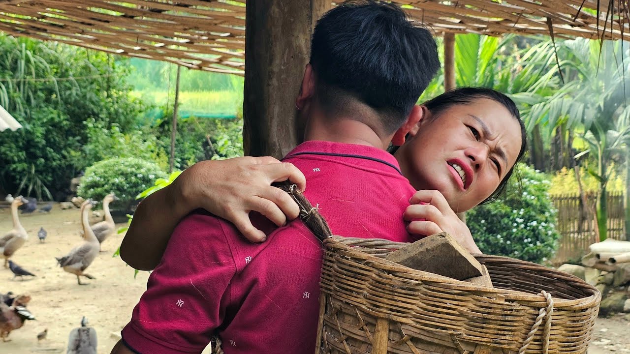 taking care of livestock, picking wild canarium fruits to sell/biengiangmyfamily