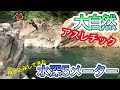 【小学生が遊べる】水深5メーターの川で飛び込みしまくったら地元の子と仲良くなった！