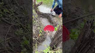 Amazing Fishing In Village