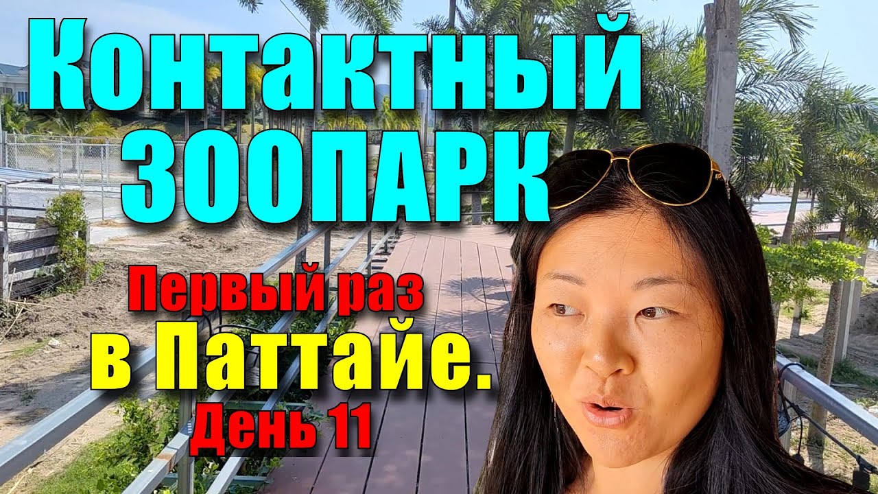 Никто не знает этот контактный зоопарк в Паттайе. Кормим черепах ...