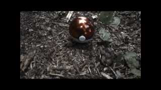 Download Lagu Pokemon 1 MP3 Pokemon 1