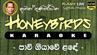 Pawee Giyawe Lande Karaoke (Without Voice) පාවී ගියාවේ ළඳේ කැරෝකේ