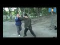 8методов атаки  в туйшоу. Чэнь тайцзи ушу // Master Chen Xiang 8 methods of attack in Tai Chi