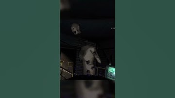 They Left Me #yolomcswaggen #lethalcompany #gaming