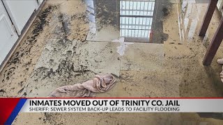 Trinity County Jail to move inmates to Jasper County amid infrastructure, overcrowding issues Wealth