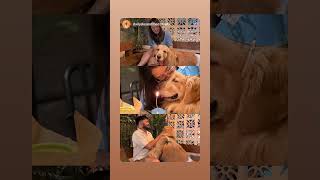 Some Orders Are More Than Just Cakes Theyre Pure Love In Edible Form.