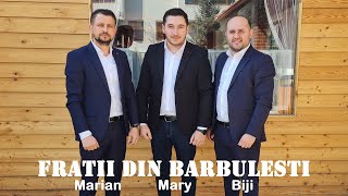 Marian, Biji si Mary din Barbulesti - Miezul nopții e aproape ( Cover )
