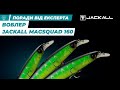  jackall magsquad 160    