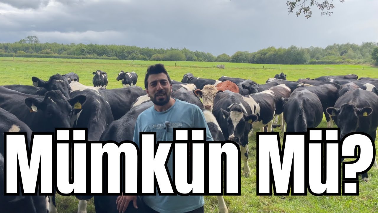 İrlanda’da Çiftlik Kurmak, Başlangıc İçin En Mantıklı Adım Nedir?