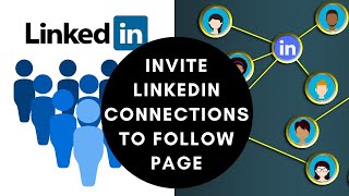 How to invite LinkedIn connections to follow your company page in 2021 | LinkedIn Marketing Tips