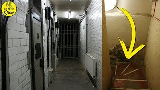 Famous This Man Found Something Absolutely Incredible In His Grandfather’s Old Attic Net Worth