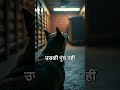 Is your pet seeing things you can't? A strange chill in the kitchen… you won't believe what our dog