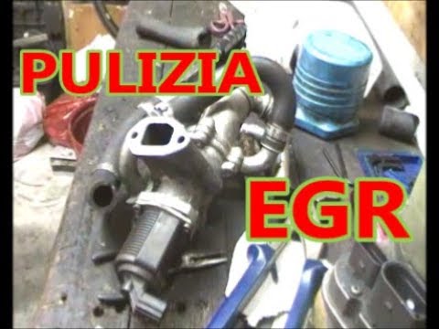 Valvola EGR per FIAT PANDA (169) 169 A1.000 1.3 D Multijet ...