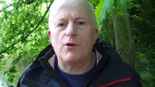 Os or Ansuz Rune of Communication and Join our Runes Course with The Druid Forest School Content