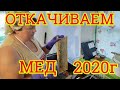 Качаем мед с рогатого улья от А до Я