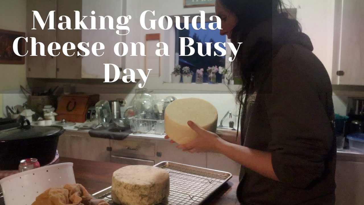 Как приготовить сыр Гауда с нуля