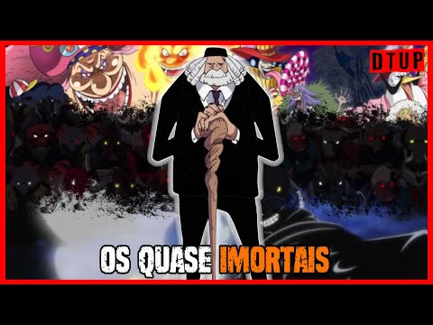 235- FORMAS DE IMORTALIDADE EM ONE PIECE | TEORIA