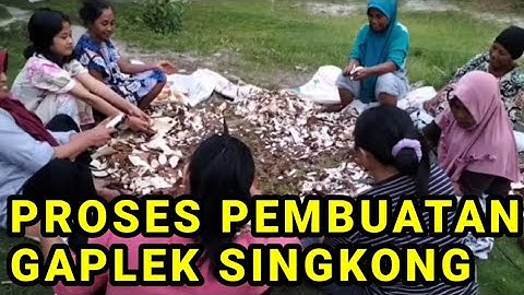 CARA MEMBUAT GAPLEK SINGKONG