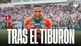 FOLLOWING THE SHARK: VICTORY IN VALLEDUPAR!