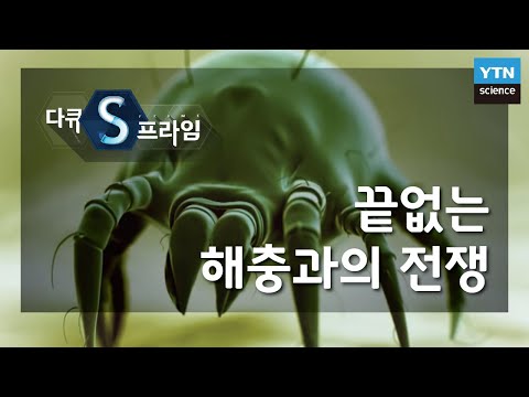 끝없는 해충과의 전쟁 [다큐S프라임] / YTN 사이언스
