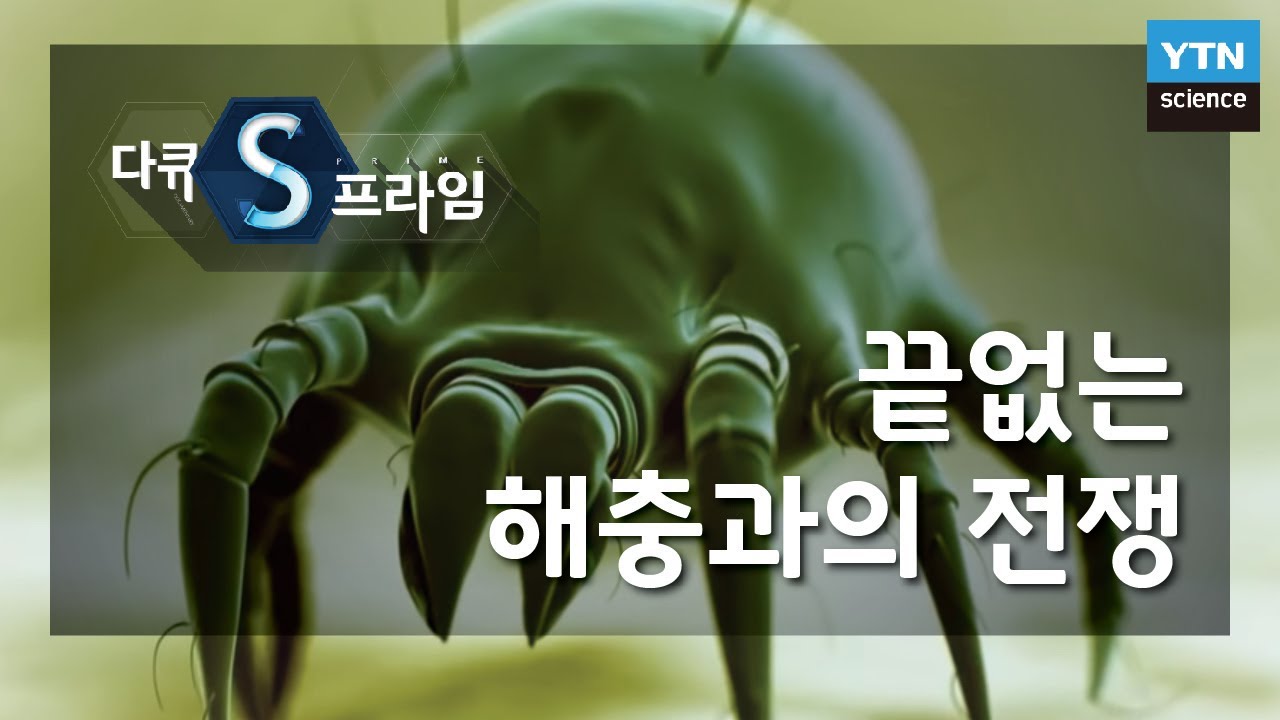 끝없는 해충과의 전쟁 [다큐S프라임] / YTN 사이언스