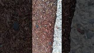Bsf concrete by John Buelow Excavating 9 views 2 months ago 1 minute, 45 seconds