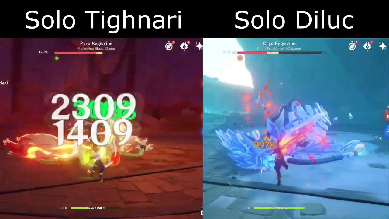 Solo Tighnari VS Diluc (Day 1 build)