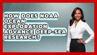 Celebrity How Does NOAA Ocean Exploration Advance Deep-Sea Research? | The Marine Life Explorer Net Worth