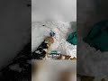 Skier Saves Snowboarder Trapped In A Tree Well!