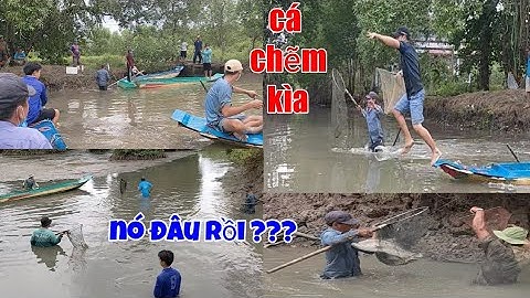 Cùng theo chân anh em đi bắt cá thuốc vuông Năm Căn Cà Mau đầy lầy lội và cái kết...toàn cá khủng...