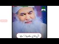 Dawateislami status 2021  dawate islami status