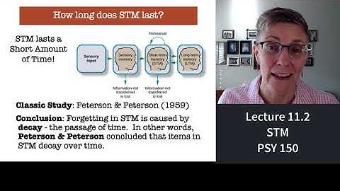 150 Lecture 11.2 Short-Term Memory