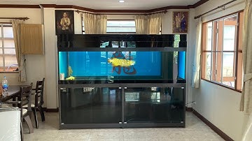 หนึ่ง บางบอน 4 - งานล้าง 100 ตู้ปลา 96 30 30 พร้อมเติม L เผือกไซส์ฟุต 2 ตัว สำหรับทำความสะอาดตู้ปลา