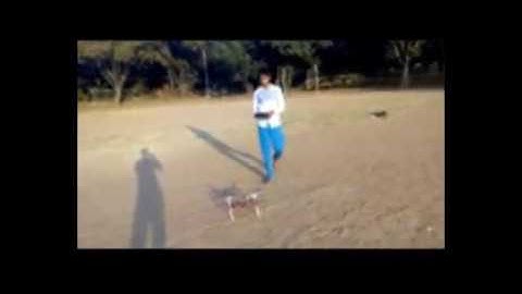 KK2.1.5 Quadcopter FLIGHT TEST !!