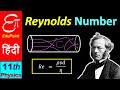 🔴 Reynolds Number || for Class 11 in HINDI