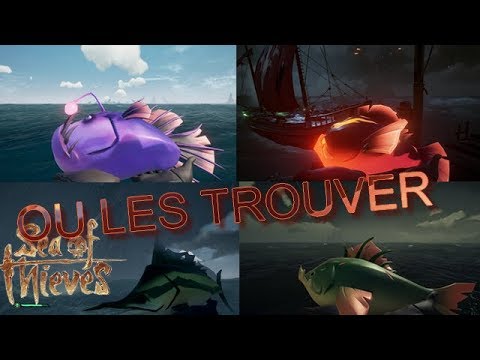 Vidéo: Guide De Pêche De Sea Of Thieves: Comment Attraper Du Poisson, Vendre Du Poisson Et Trouver Des Trophées Et Des Emplacements De Poissons Rares Expliqués