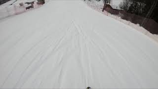 WYLLER SKI #14