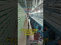 Global fast shipment & stable supply. #fishing #net #factory