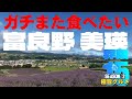 富良野 美瑛 界隈 ガチまた食べたい15軒★SEASON2※036 （Subtitles：English,Thai,Korean,Chinese）