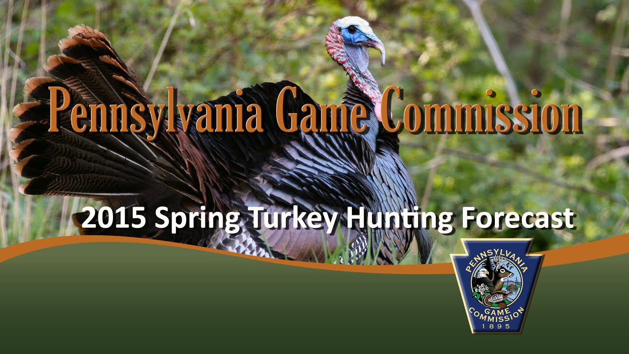 2015 Spring Turkey Forecast