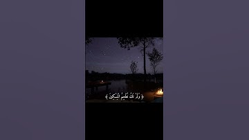 ﴿ قَالُوا لَمْ نَكُ مِنَ الْمُصَلِّينَ ﴾ [ سورة المدّثر: 43] قارئ شريف مصطفى