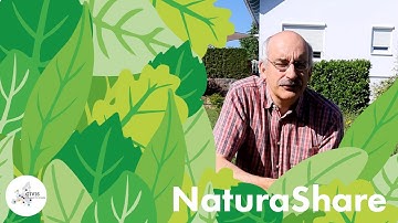 NaturaShare -  Bunte Wiese Colourful Meadows (part 2)