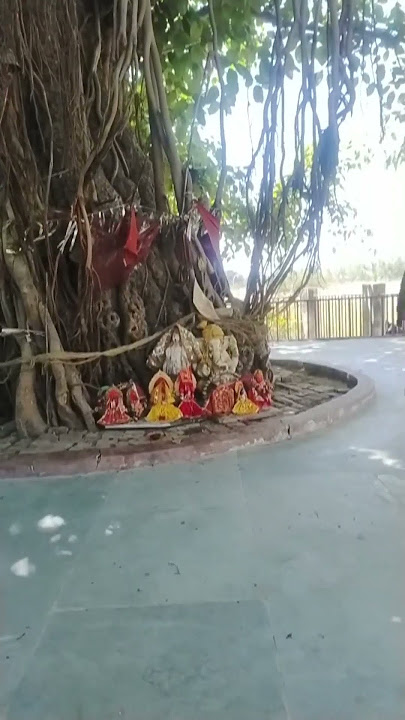 #महोना mahona video 📷