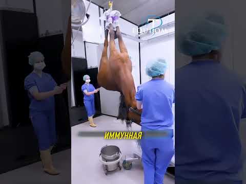 Создание ПРОТИВОЯДИЯ от ЗМЕИНЫХ укусов 😯 #Shorts